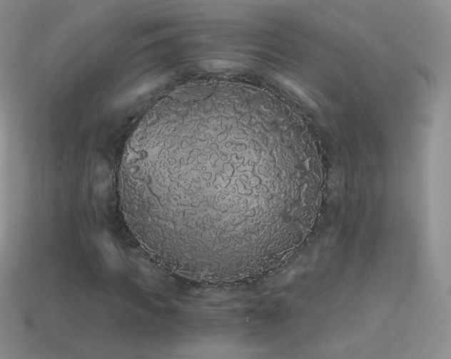 X0000114520917200910191151