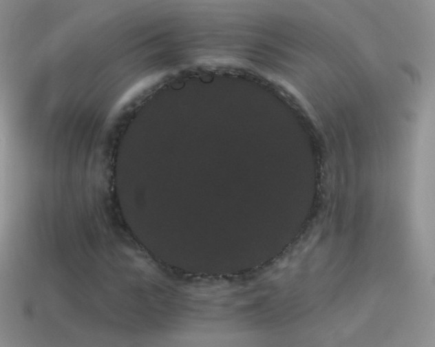 X0000114520919200910191151