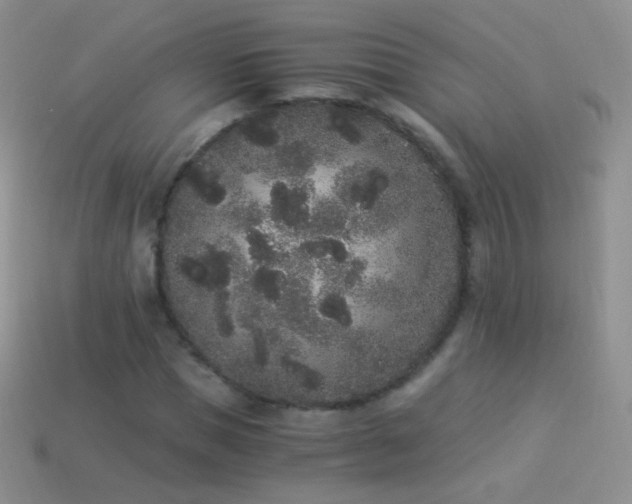 X0000114520921200910191151