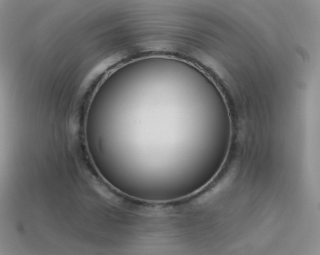 X0000114520922200910191151