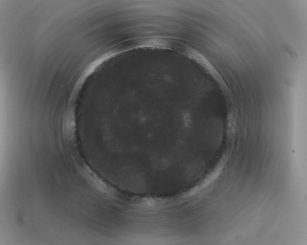 X0000114520923200910191151