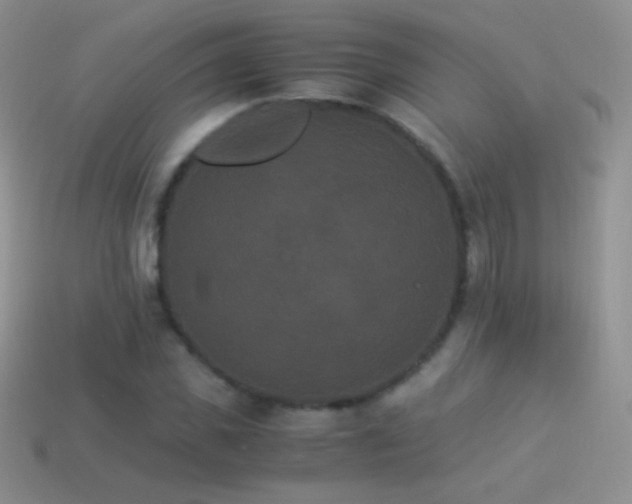 X0000114520925200910191151