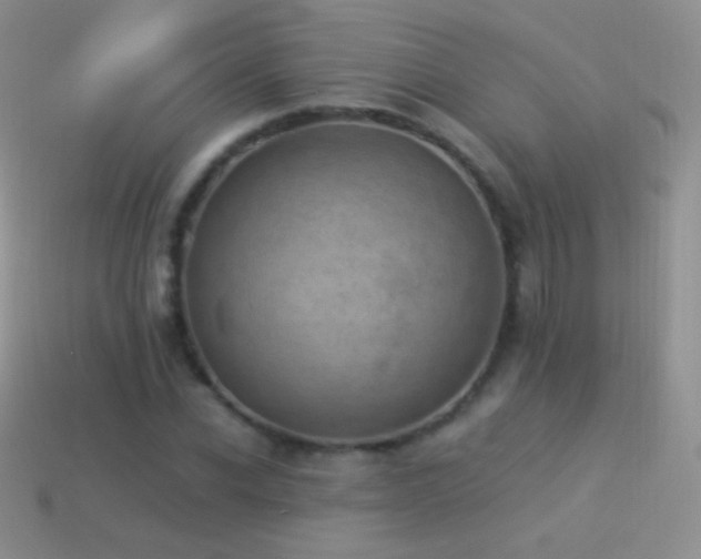 X0000114520926200910191151
