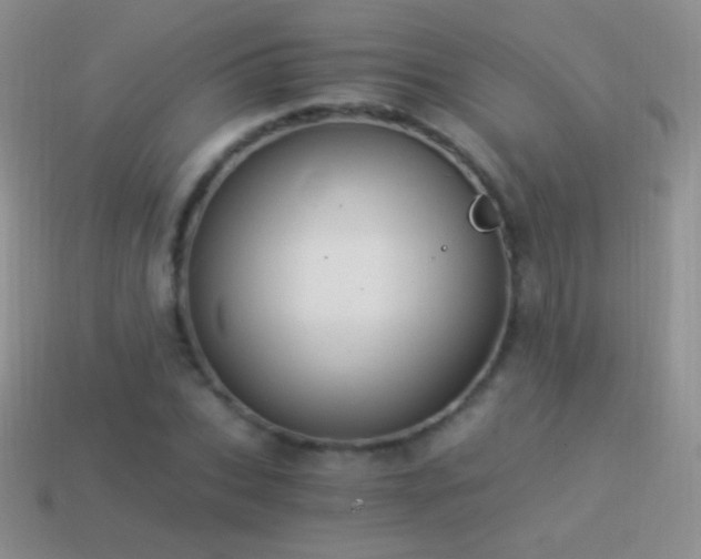X0000114520927200910191151