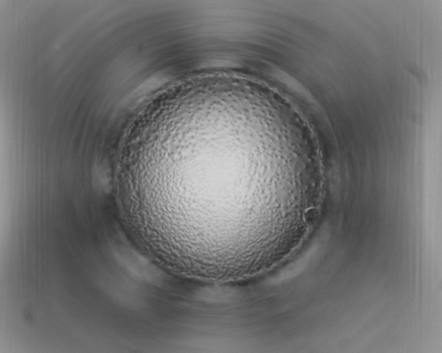 X0000114520929200910191151