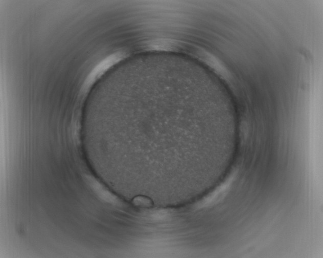 X0000114520930200910191151