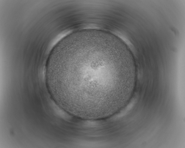 X0000114520933200910191151