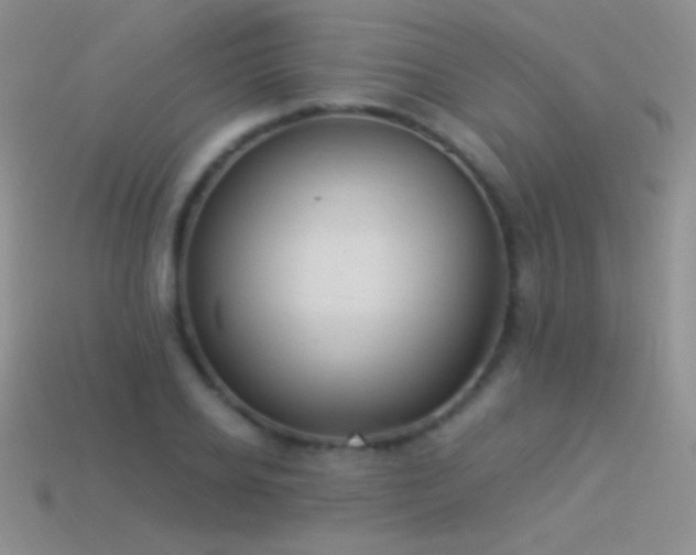 X0000114520934200910191151