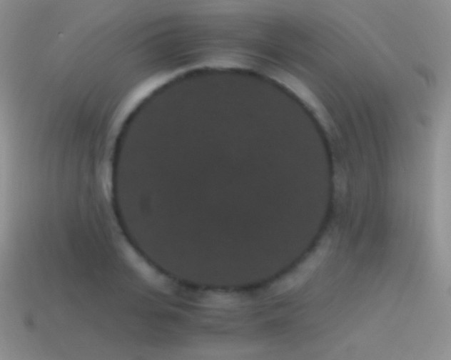 X0000114520935200910191151