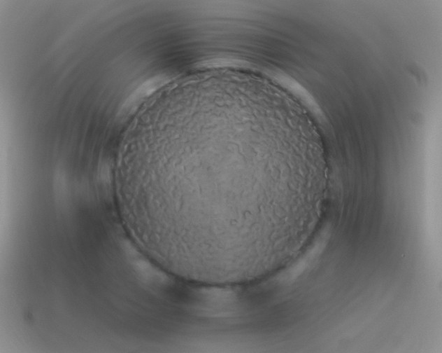X0000114520937200910191151