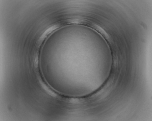 X0000114520938200910191151