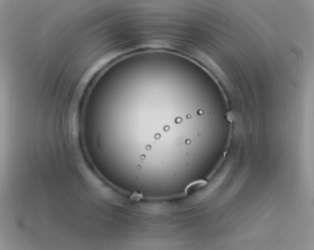 X0000114520939200910191151