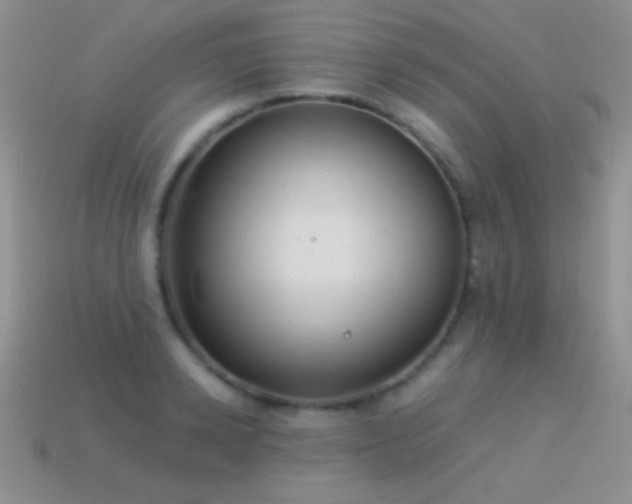 X0000114520942200910191152