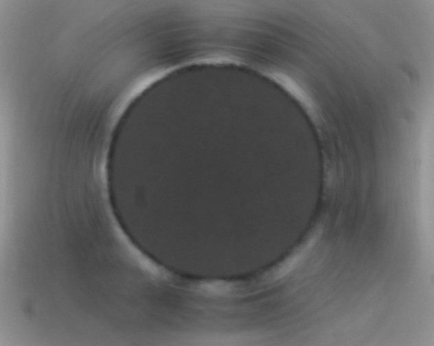 X0000114520943200910191152