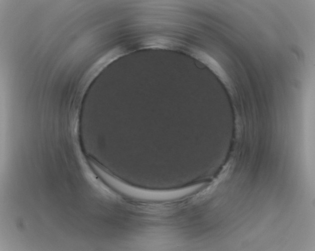 X0000114520946200910191152