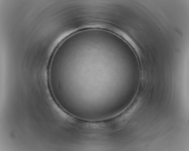 X0000114520951200910191152