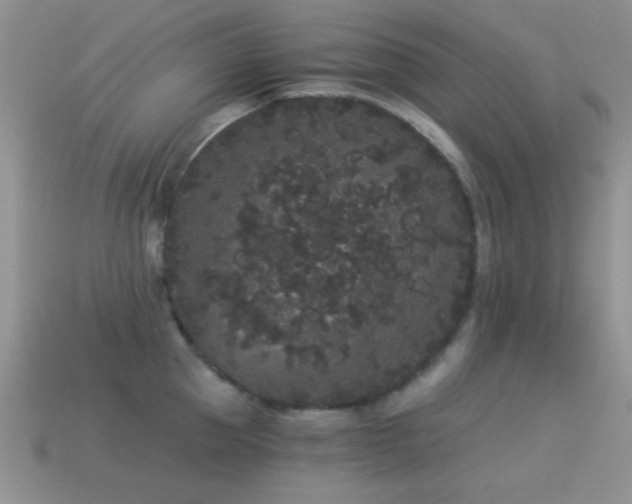 X0000114520953200910191152