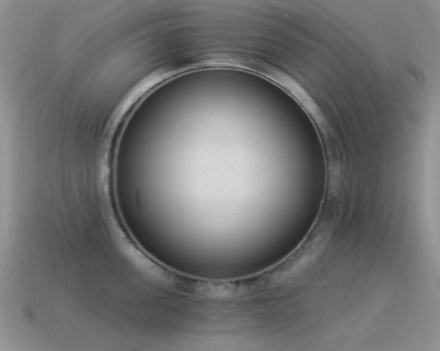 X0000114520955200910191152