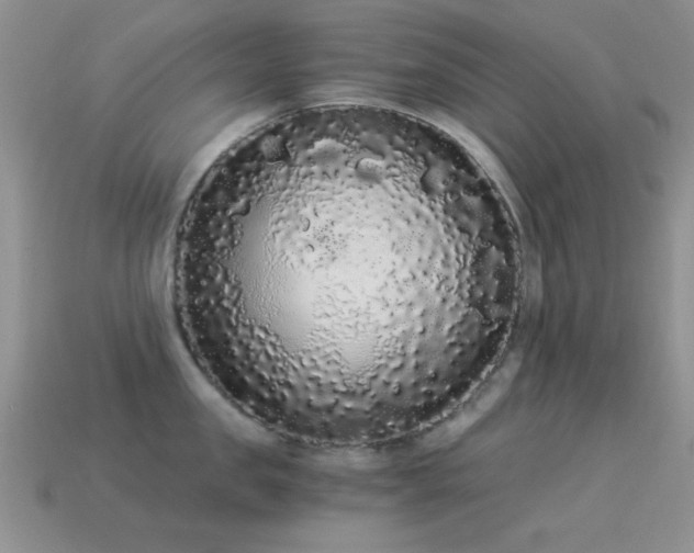 X0000114520957200910191152