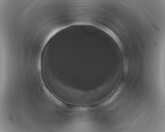 X0000114520958200910191152