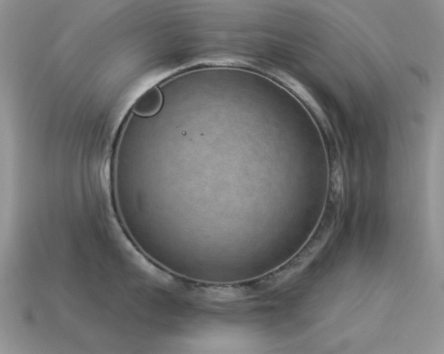 X0000114520959200910191152
