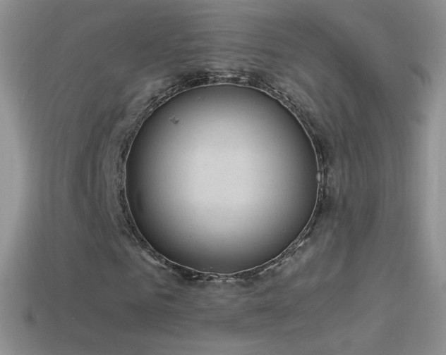 X0000114520961200910191151