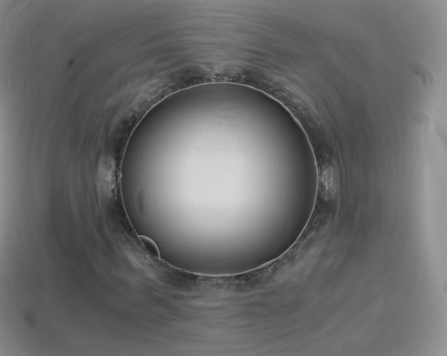 X0000114520963200910191151