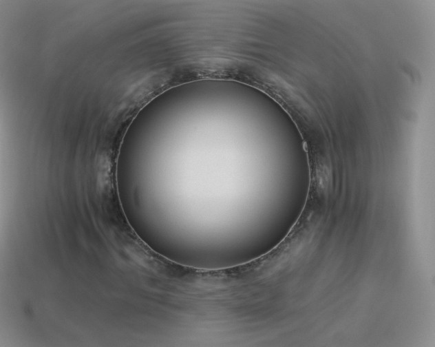 X0000114520964200910191151