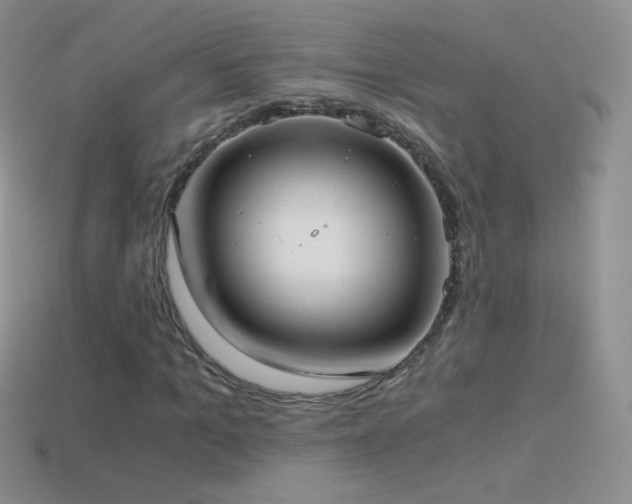 X0000114520965200910191151
