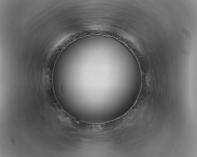 X0000114520968200910191151