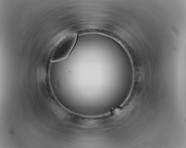 X0000114520969200910191151