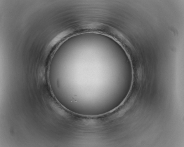 X0000114520970200910191151
