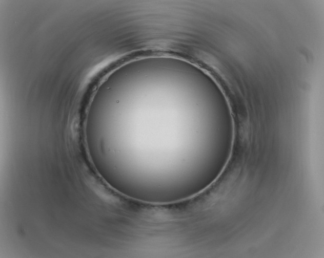 X0000114520971200910191151