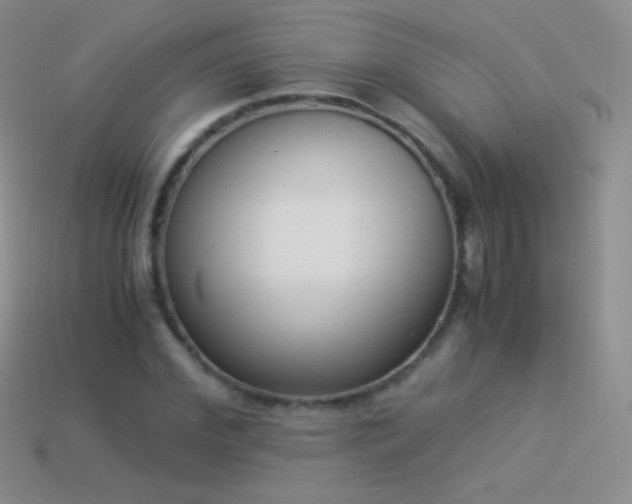 X0000114520972200910191151