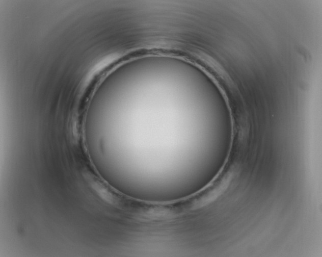 X0000114520974200910191151