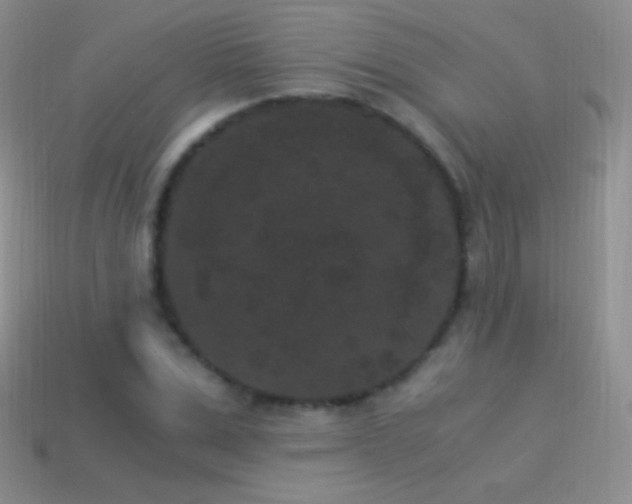 X0000114520975200910191151