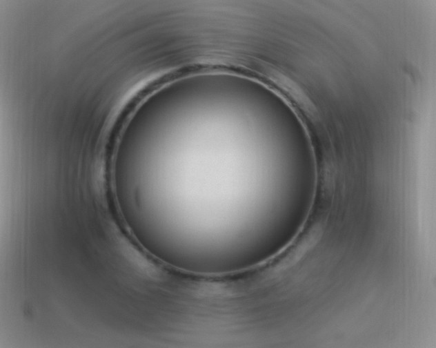 X0000114520976200910191151