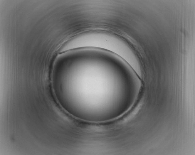 X0000114520977200910191151