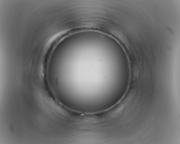 X0000114520979200910191151