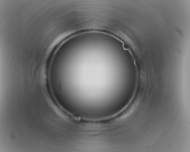 X0000114520981200910191151