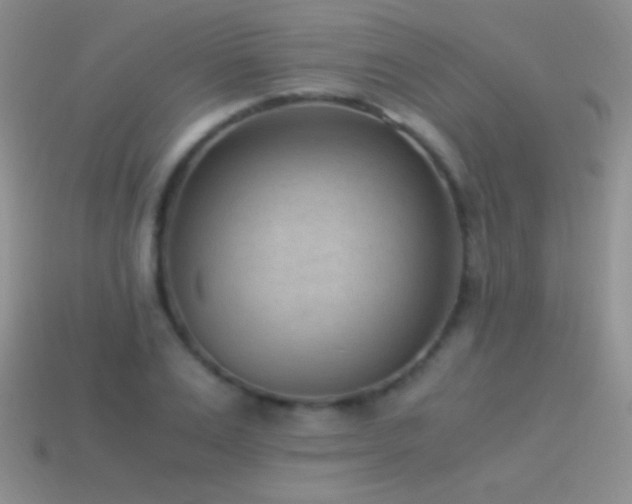 X0000114520983200910191151