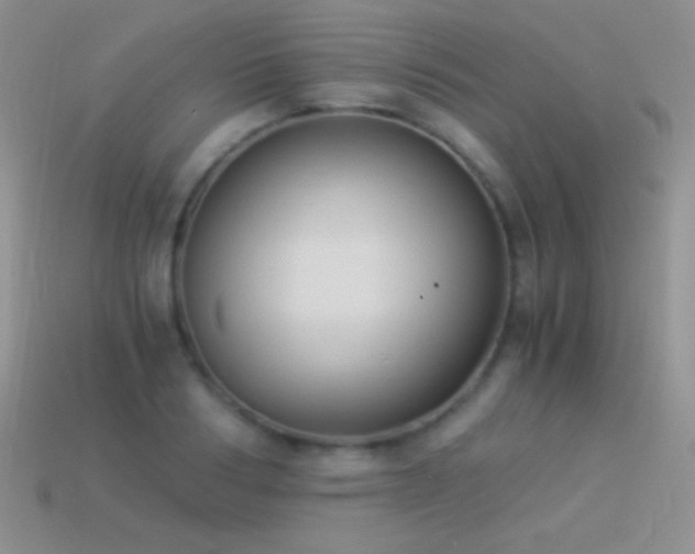 X0000114520986200910191151