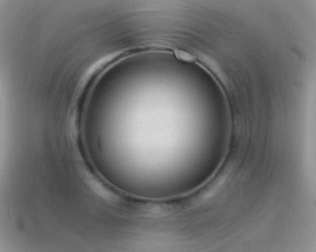 X0000114520987200910191151