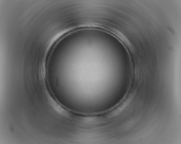 X0000114520988200910191151