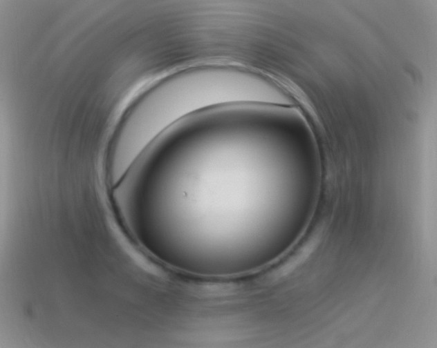 X0000114520989200910191151