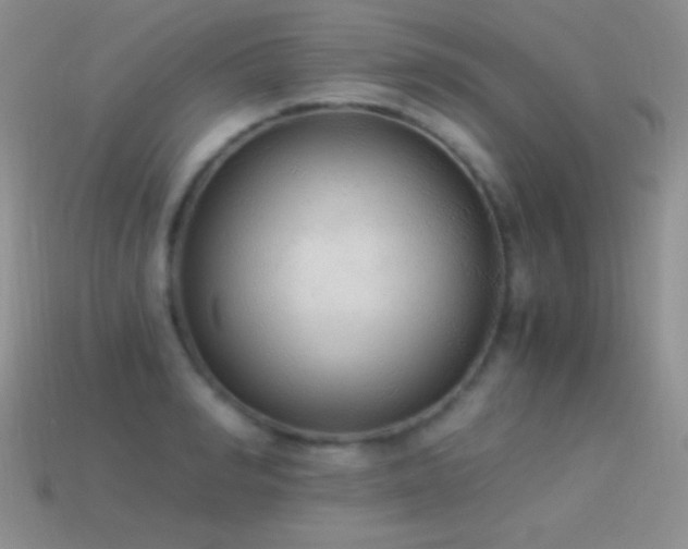 X0000114520990200910191151