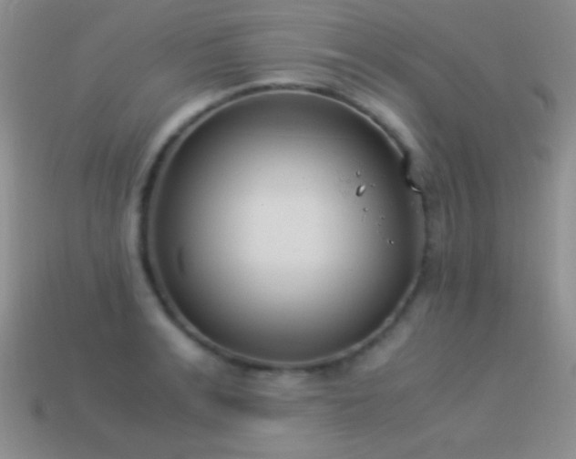 X0000114520991200910191151