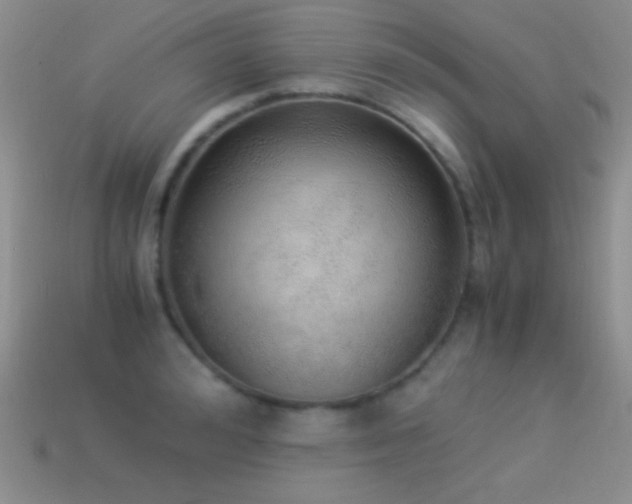 X0000114520992200910191151