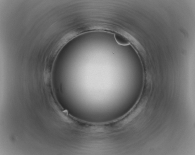 X0000114520993200910191151