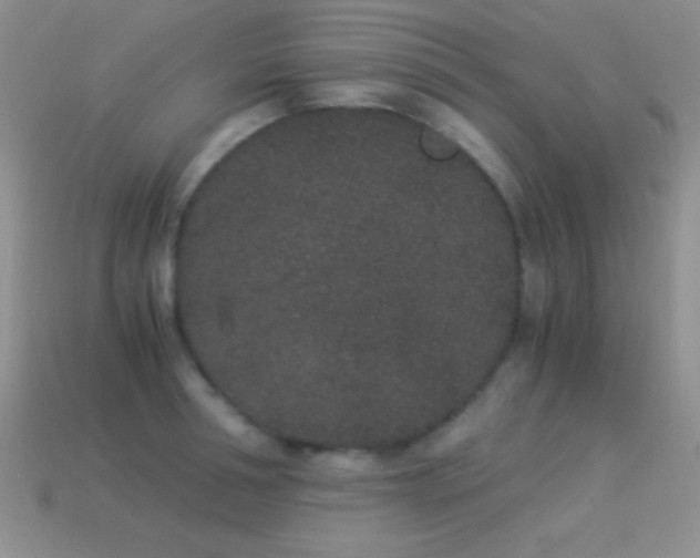 X0000114520994200910191151